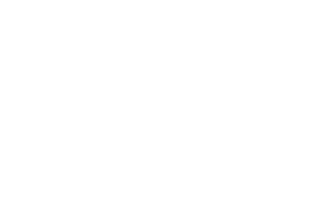 Open System