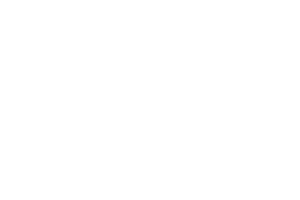 Barnes & Noble