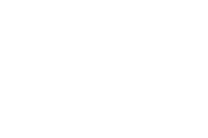 BlueJeans